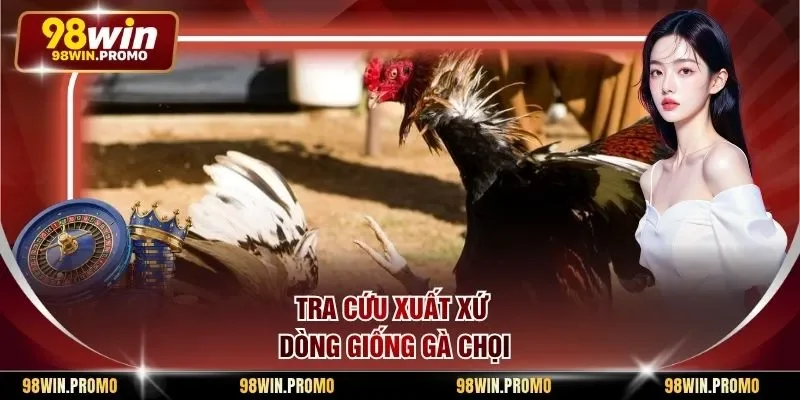 Tra cứu xuất xứ dòng giống gà chọi